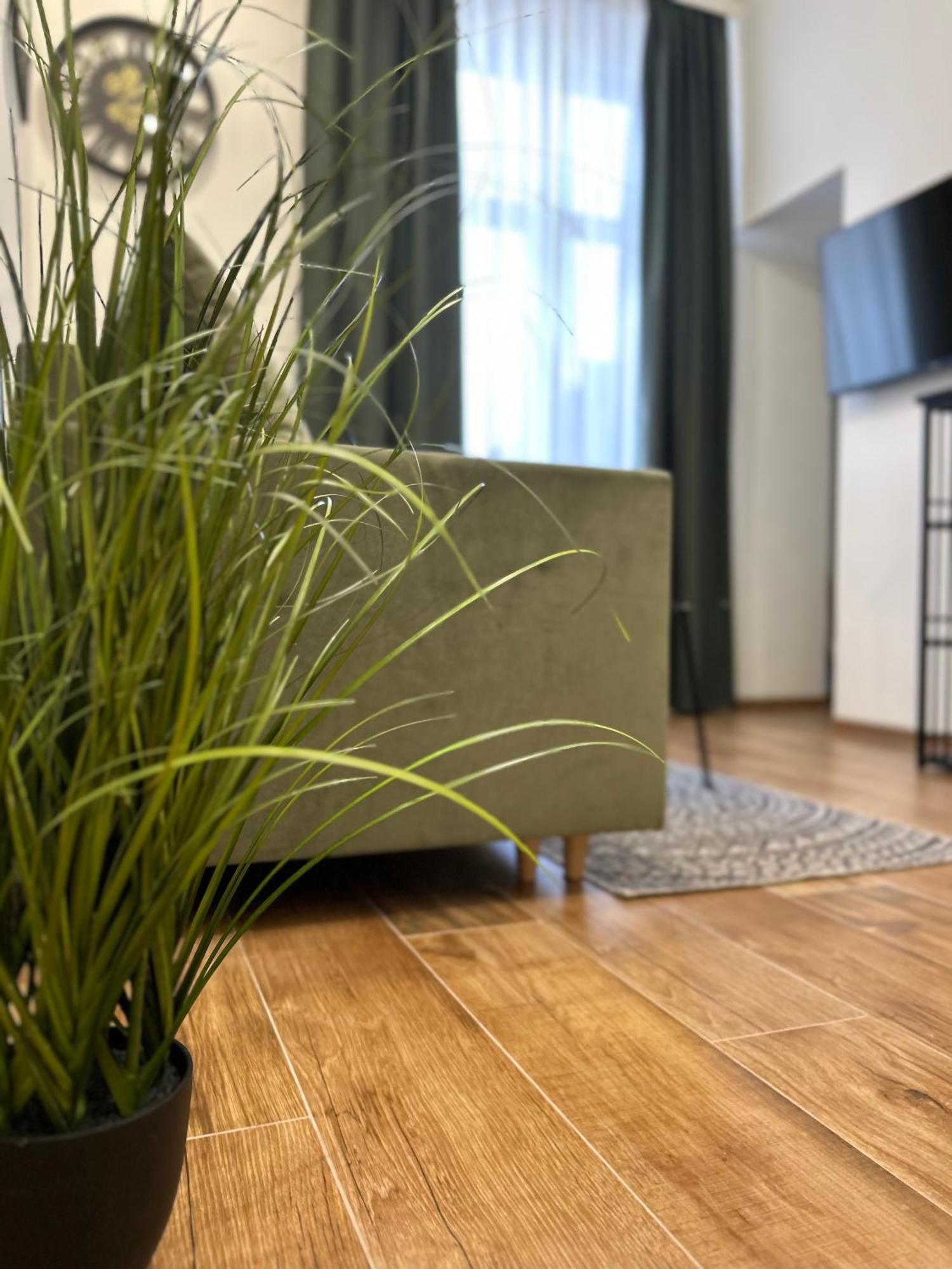 Apartament Krasinskiego Przemyśl Esterno foto
